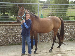 My first equine healing (UK 2010)