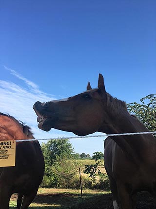 Earl shows us how much he's enjoying the selection of Hemp Oil