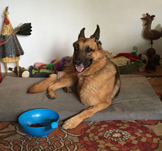 Layla showing no interest in Rosehips